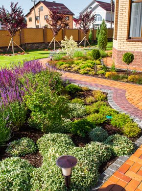 dt_creativeProf-AdobeStock_180818347-cropped2